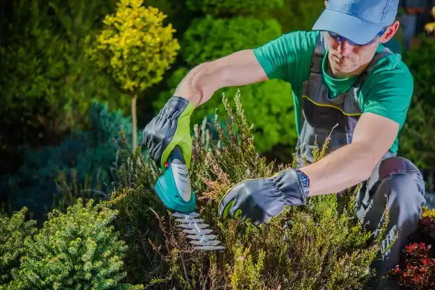 landscaping services Erlanger
